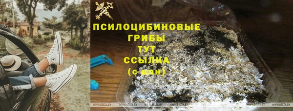 spice Аркадак