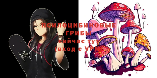 дживик Армянск