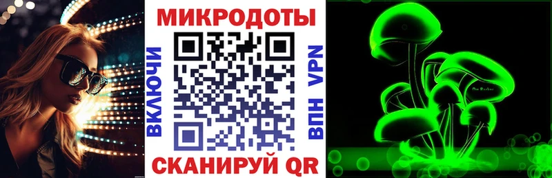 Псилоцибиновые грибы Cubensis  Гаджиево 